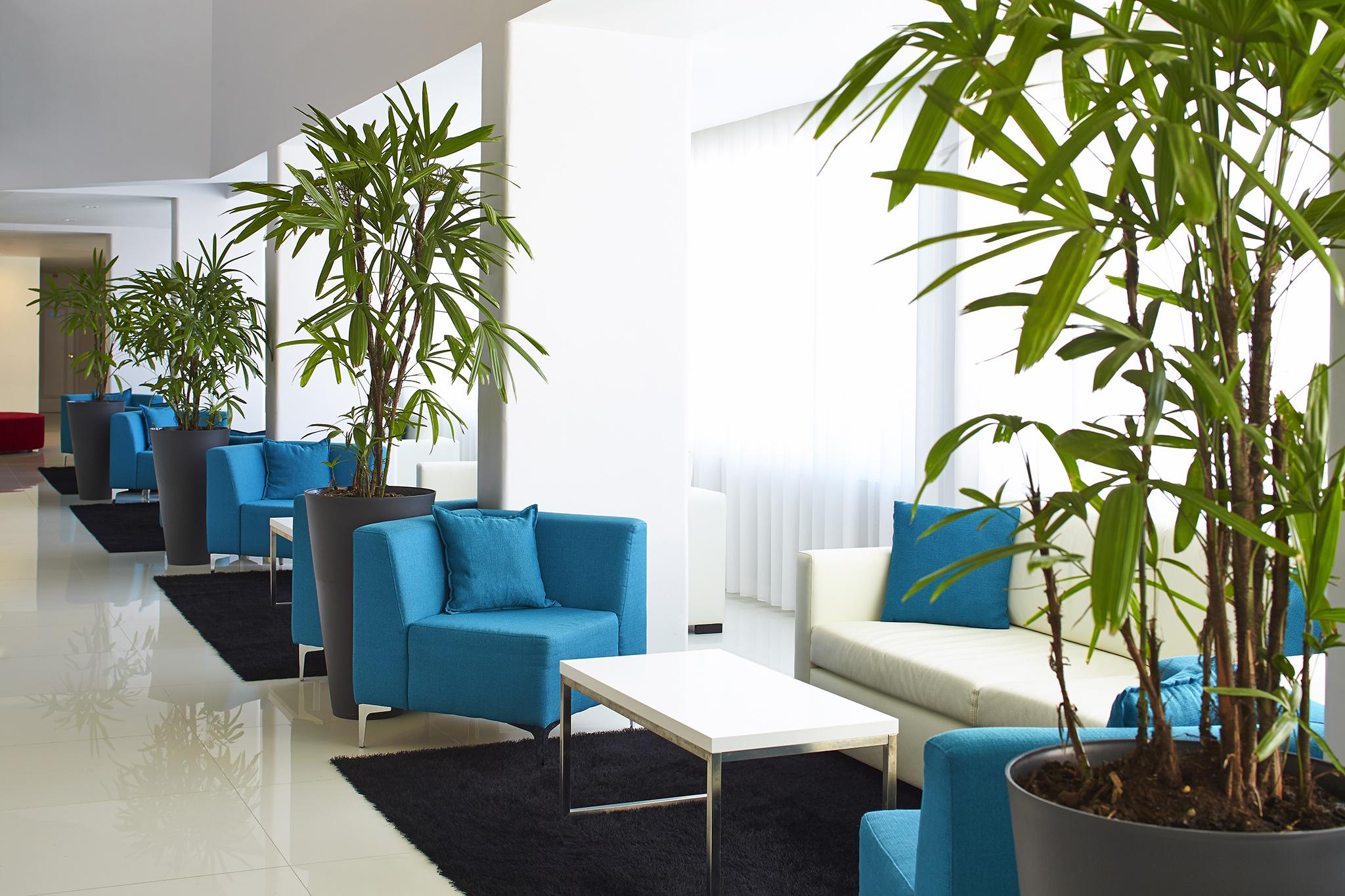 البوفيرا Luna Miramar Club المظهر الخارجي الصورة